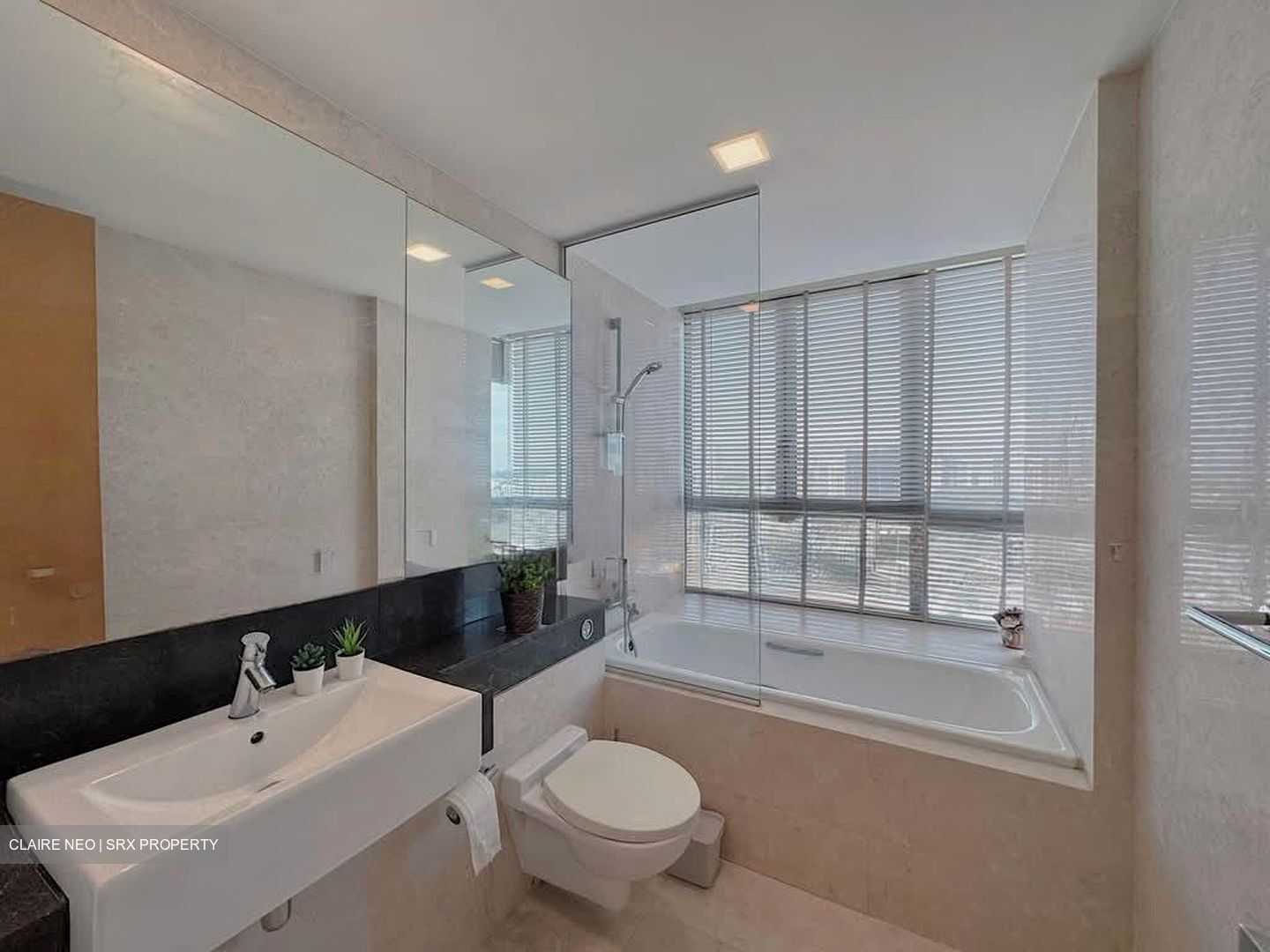 Dakota Residences (D14), Condominium #589262771